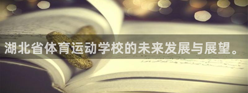 尊龙官网下载平台是正规平台吗知乎:湖北省体育运动学校的未来发