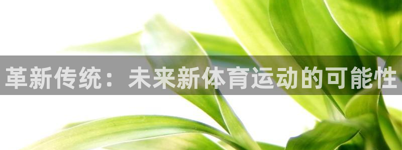 尊龙官网下载平台注册要钱吗是真的吗:革新传统:未来新体育运动