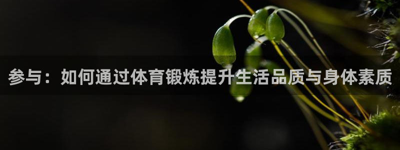 尊龙官网下载平台是正规平台吗:参与:如何通过体育锻炼提升生活