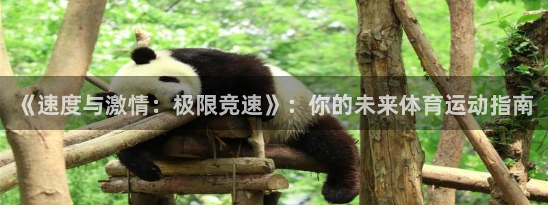 注册尊龙官方正版app:《速度与激情:极限竞速》:你的未来体